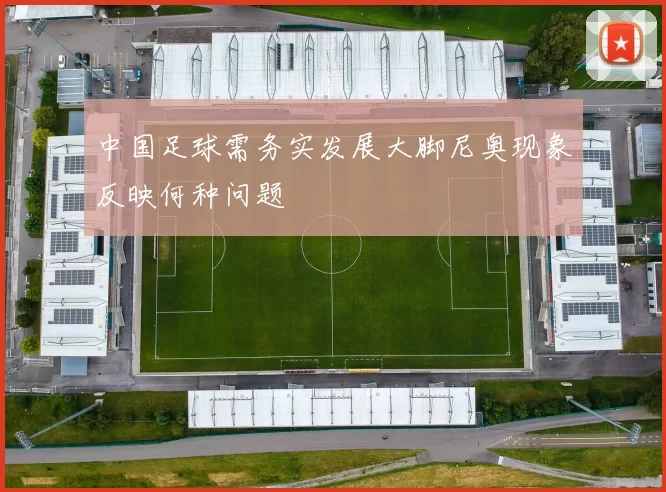 中国足球需务实发展大脚尼奥现象反映何种问题