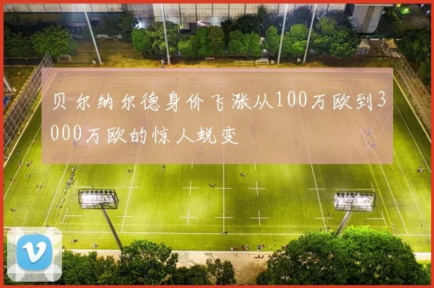 贝尔纳尔德身价飞涨从100万欧到3000万欧的惊人蜕变